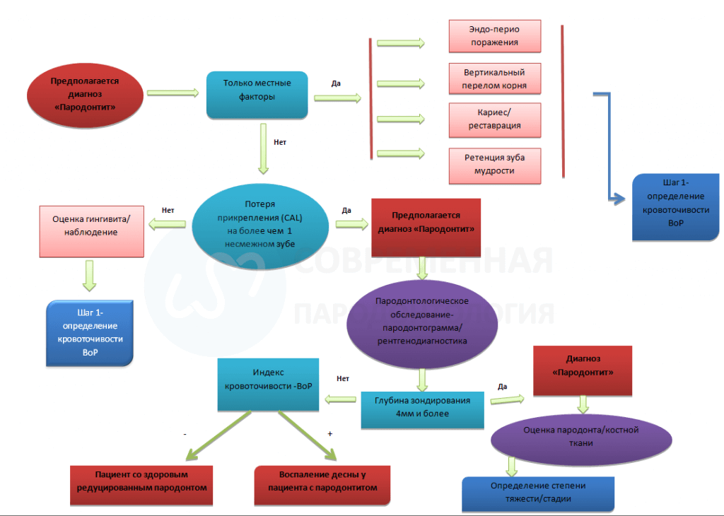 Факторы пародонта. Классификация заболеваний пародонта схема. Новая классификация заболеваний пародонта. Классификация пародонтологических заболеваний. Обследование больного с заболеваниями пародонта схема.