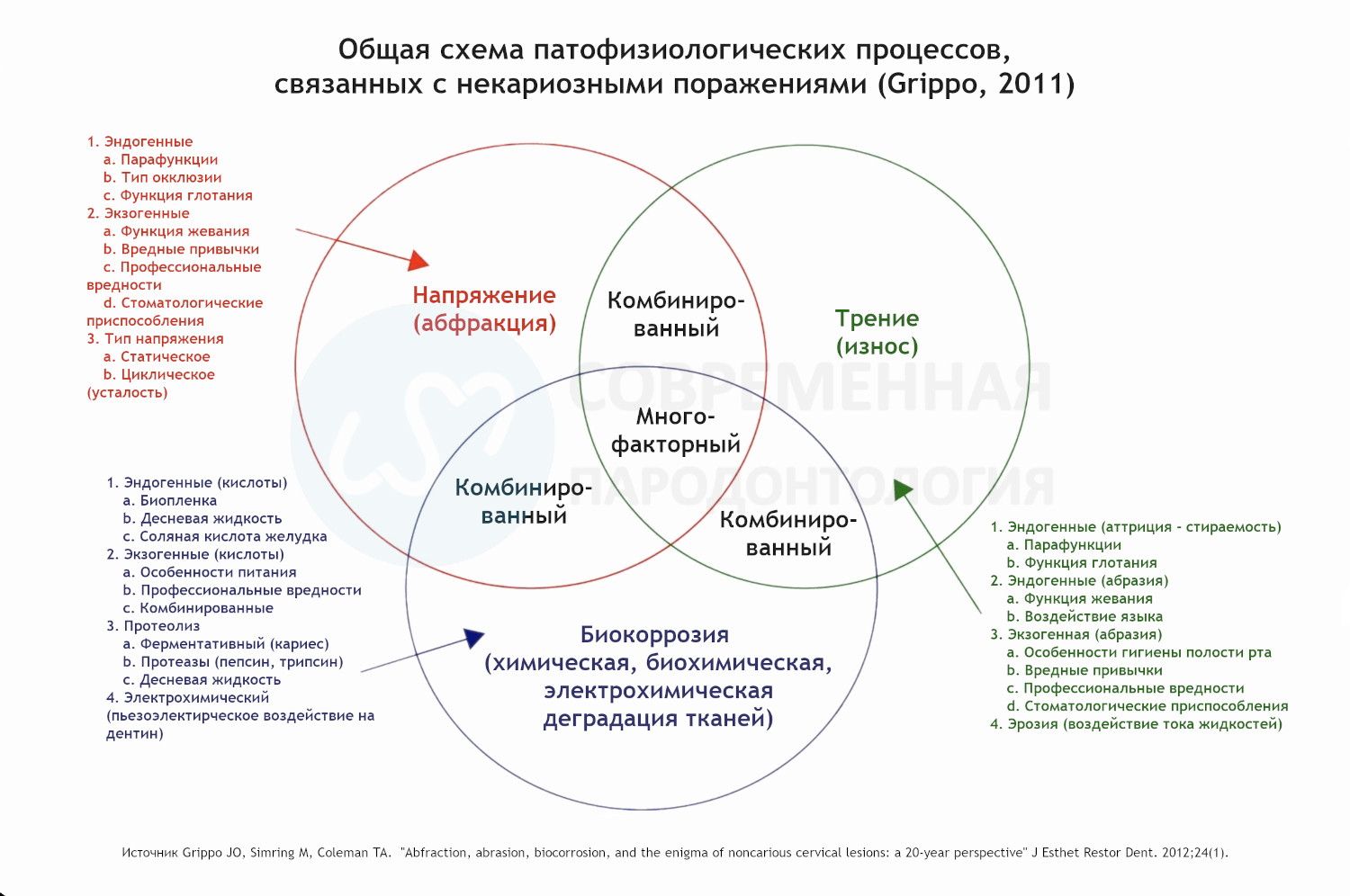 взаимодействие патодинамических механизмов, ответственных за появление и развитие некариозных дефектов в пришеечной области