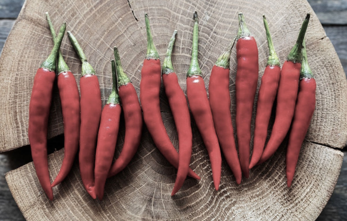 стручковый перец