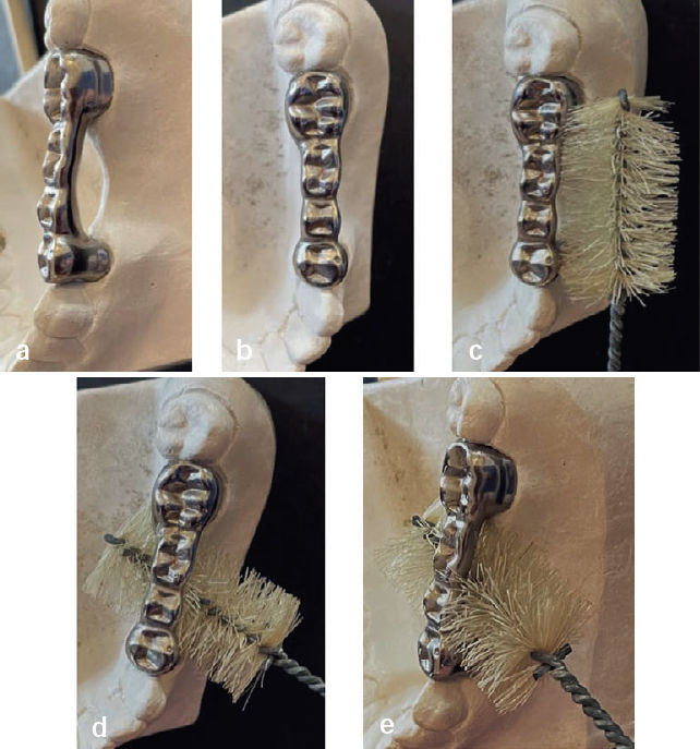 Демонстрация использования зубной щётки Firefly