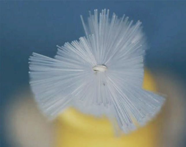 Межзубной ёршик с треугольным поперечным сечением