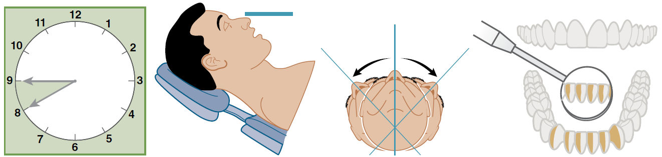 Передние поверхности нижней челюсти, обращённые к врачу