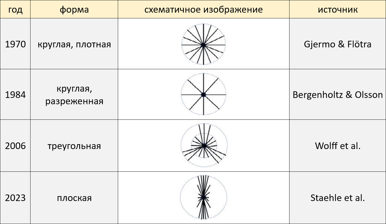 Историческое развитие конструкций межзубных ёршиков в поперечном сечении